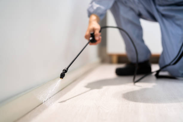 Rodent Entry Point Assessment in Louisiana