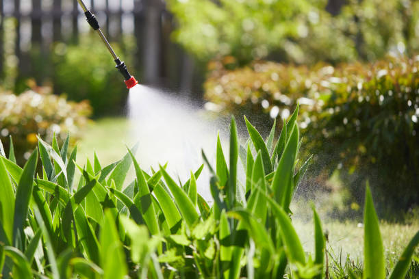 Tamper-Resistant Bait Stations for Rodents in Louisiana