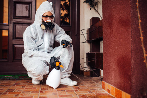 Attic and Crawl Space Rodent Treatment in Louisiana