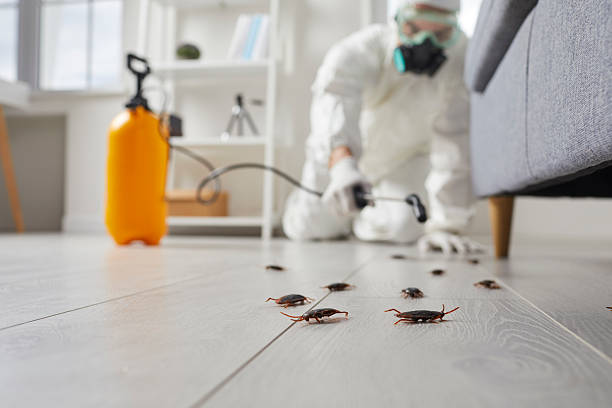 Commercial Rodent Management in Louisiana